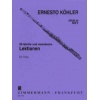 20 leichte und melodische Lektionen op. 93  Heft 2